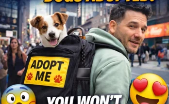 This man is using a backpack to help get dogs adopted