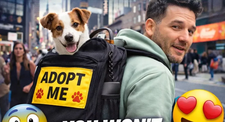 This man is using a backpack to help get dogs adopted